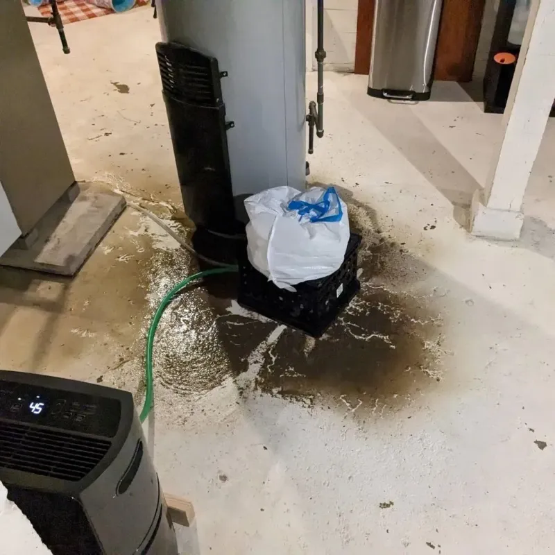 Sewage Backup Cleanup Service in West Rancho Dominguez, CA